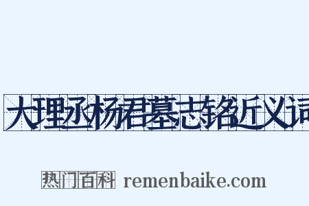 大理丞杨君墓志铭近义词是什么意思的图片